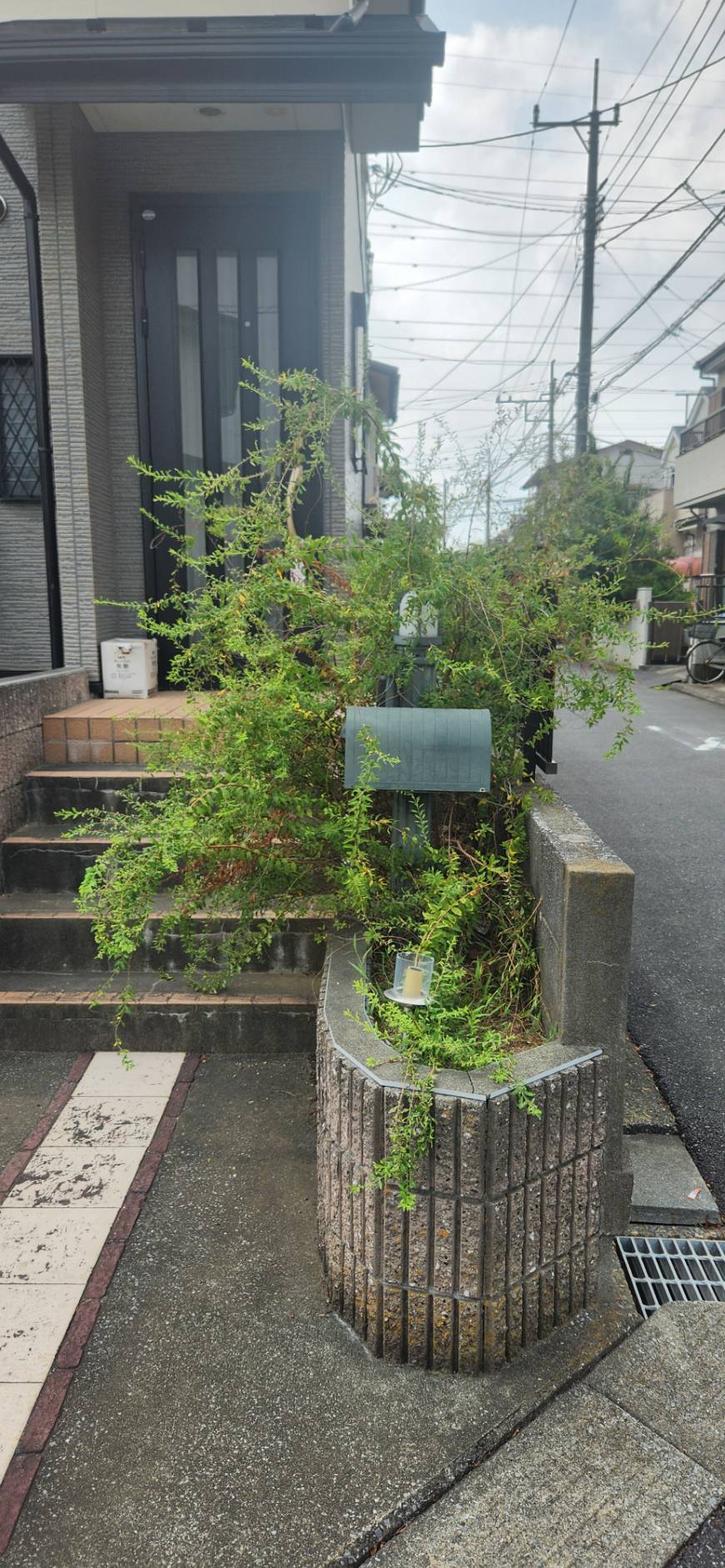 BEFORE